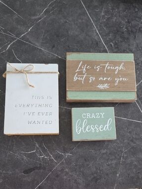 Hobby Lobby Bundle Set of 3 Inspirational Wood Signs
